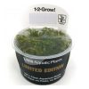 Bucephalandra_kedagang_limited_edition_1_2_Grow_