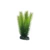 Decorative plant Mayaca 16cm