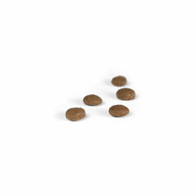 josera-cat-food-carismo-kibbles-800x800h