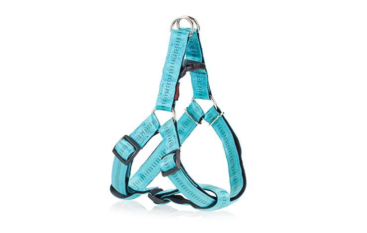 DOUBLE LAYER HARNESS TYPE A WITH SOFT FILLINGsmall
