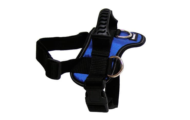 GOGET HARNESS BLUE 3 D-RINGS