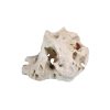 Natural Ocean Aquarium Stone 1kg